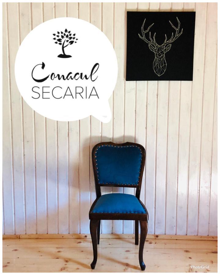 Conacul Secaria别墅 外观 照片